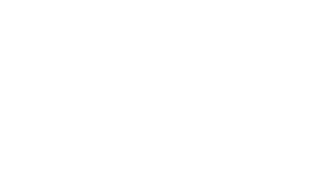 ESINEV